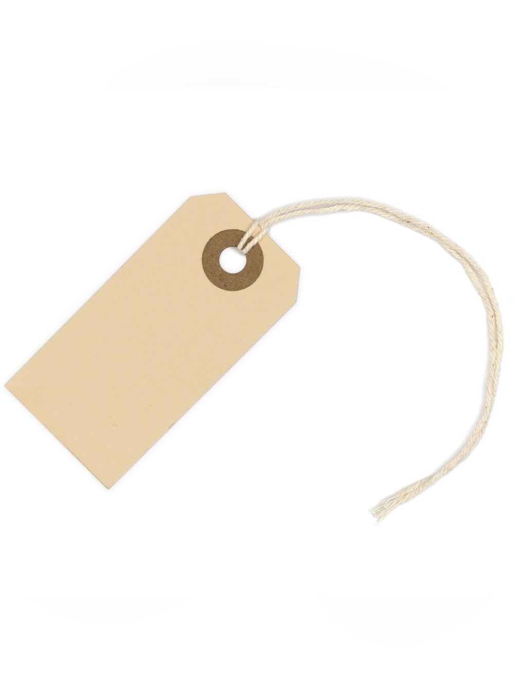Paper Tags w/ String